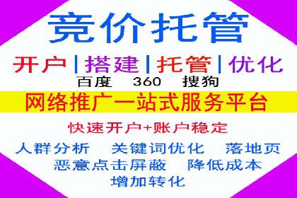 百度竞价广告的投放策略与成功案例分析